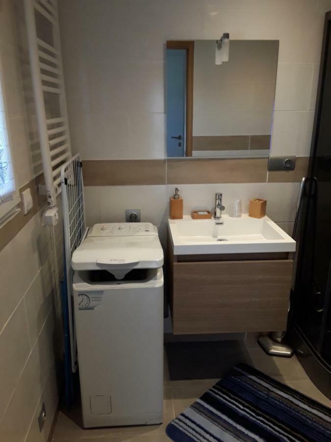 Studio De La Corbaz Scionzier Eksteriør billede